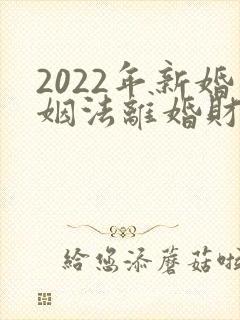 2022年新婚姻法离婚财产怎么分割