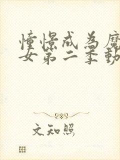 憧憬成为魔法少女第二季动画免费播