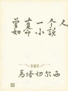 曾有一个人爱我如命小说