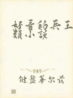 好看的兵王都市类小说