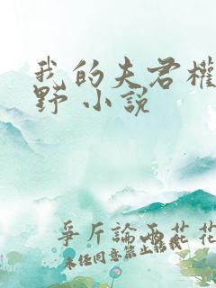 我的夫君权倾朝野 小说