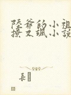 陆爷的小祖宗又撩又飒小说txt下载