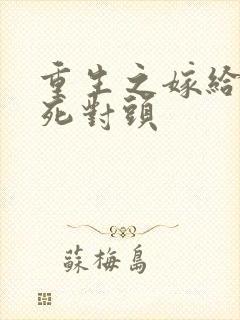 重生之嫁给渣男死对头