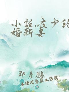 小说,夜少的二婚新妻