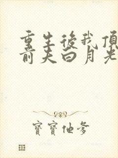 重生后我顶替了前夫白月光 九九月