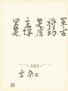 男主是将军女主是俘虏的古言