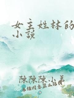 女主姓林的快穿小说