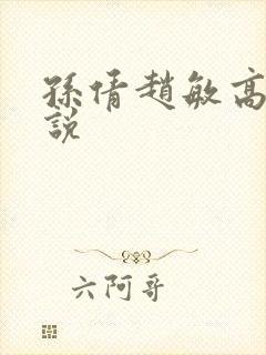 孙倩赵敏高义小说