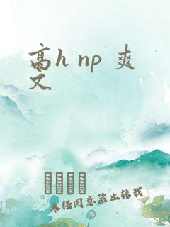 高h np 爽文