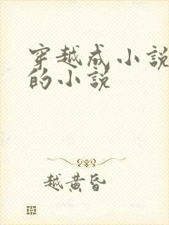 穿越成小说反派的小说