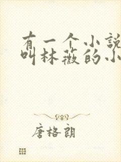 有一个小说女主叫林薇的小说