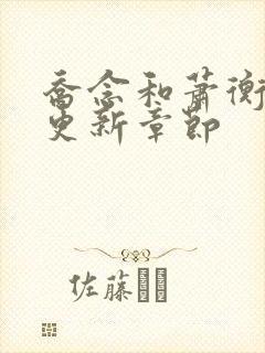 乔念和萧衡最新更新章节