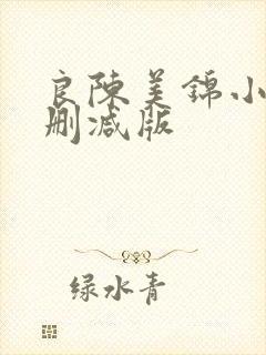 良陈美锦小说未删减版