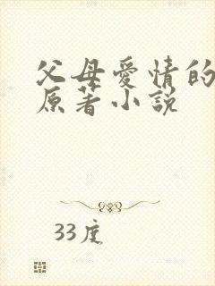 父母爱情的小说原著小说