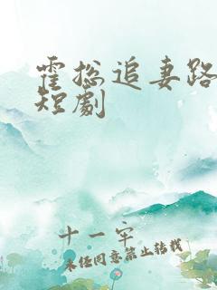 霍总追妻路漫漫短剧