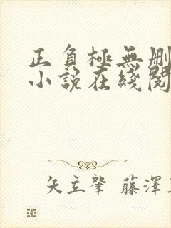 正负极无删减版小说在线阅读