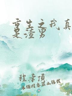 重生之我真的不是渣男