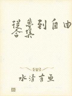 从梦到自由漫画合集