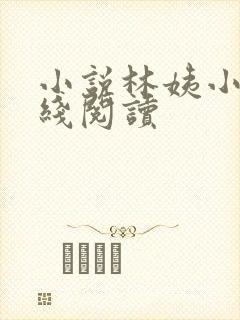 小说林姨小浩在线阅读