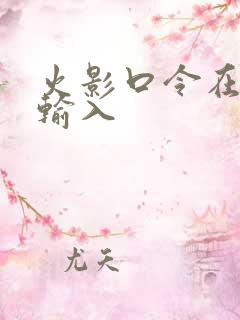 火影口令在哪里输入