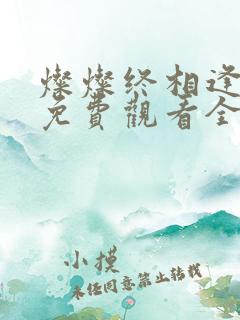 灿灿终相逢短剧免费观看全集在线