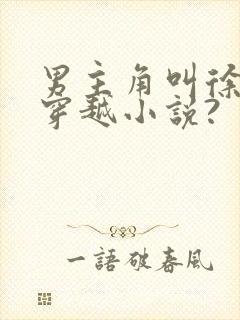 男主角叫徐锐的穿越小说?