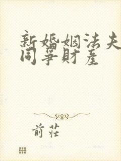 新婚姻法夫妻共同争财产