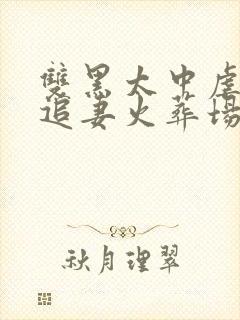 双黑太中虐中也追妻火葬场小说