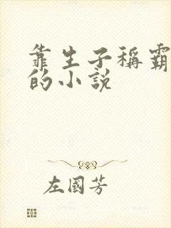 靠生子称霸后宫的小说