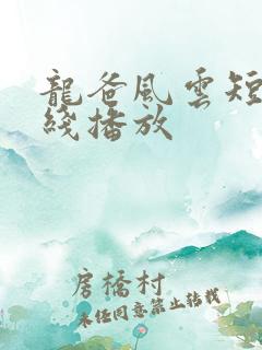 龙爸风云短剧在线播放