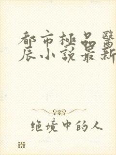 都市极品医神叶辰小说最新章节