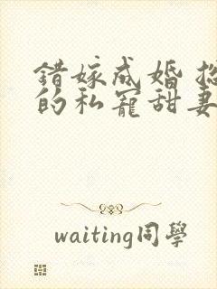 错嫁成婚 总裁的私宠甜妻