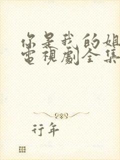 你是我的姐妹 电视剧全集免费观看