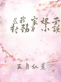 《我家娘子,不对劲》小说