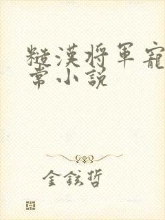 糙汉将军宠妻日常小说