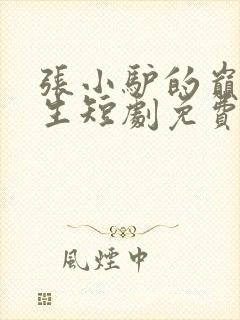 张小驴的巅峰人生短剧免费