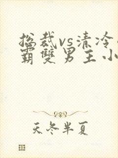 总裁vs清冷学霸双男主小说