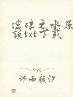 沧浪之水原著小说txt下载