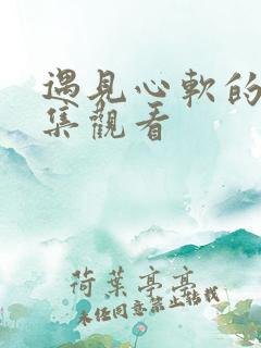 遇见心软的神全集观看