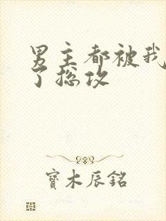 男主都被我艹坏了总攻