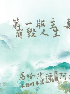 第一版主 妻殇 崩毁人生