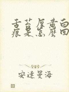 舌苔厚黄白有齿痕是怎么回事