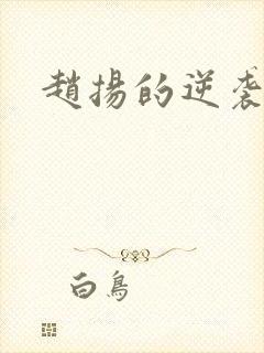 赵扬的逆袭人生