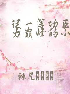 从一等功臣到权力巅峰的小说