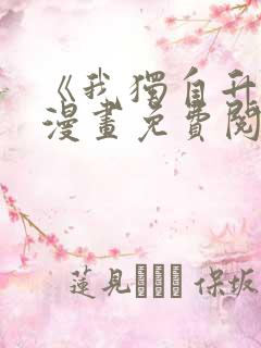 《我独自升级》漫画免费阅读