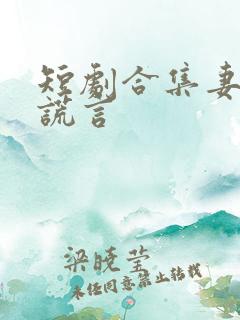 短剧合集妻子的谎言