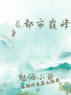 《都市巅峰高手》