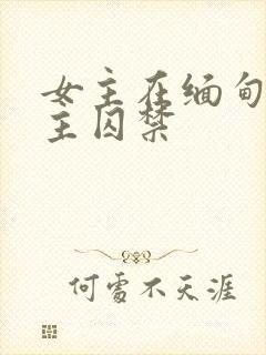 女主在缅甸被男主囚禁