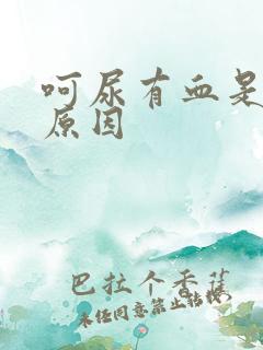 呵尿有血是什么原因