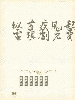 纵有疾风起全集电视剧免费观看